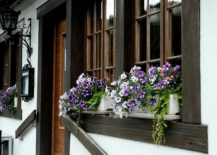 Tourist 2* Meiringen