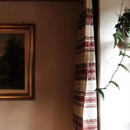 Mini-hôtel Tourist 2*