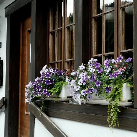 Tourist 2* Meiringen