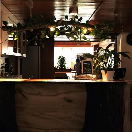 Mini-hôtel Tourist 2*