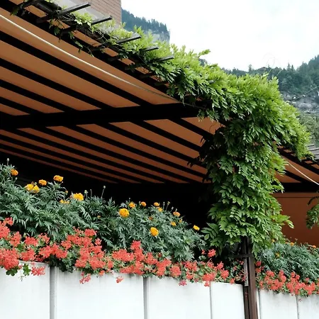 Mini-hôtel Tourist 2*